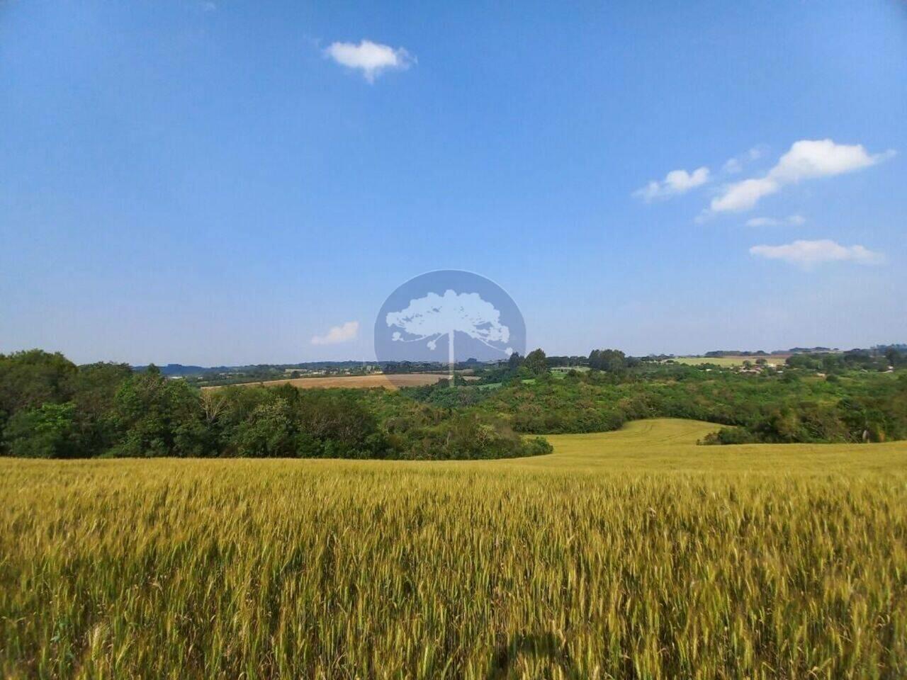 Chácara Zona Rural, Contenda - PR