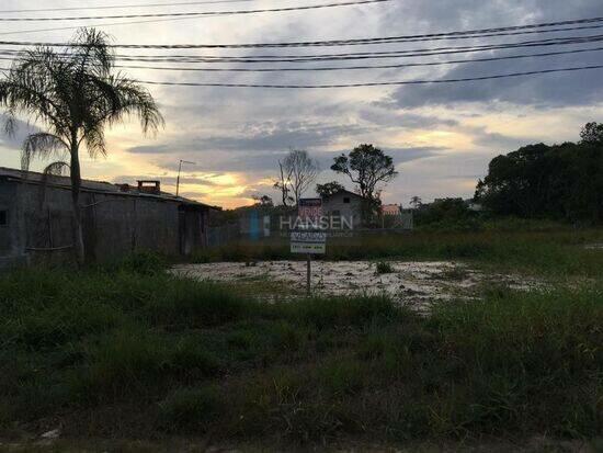 Praia do Ervino - São Francisco do Sul - SC, São Francisco do Sul - SC