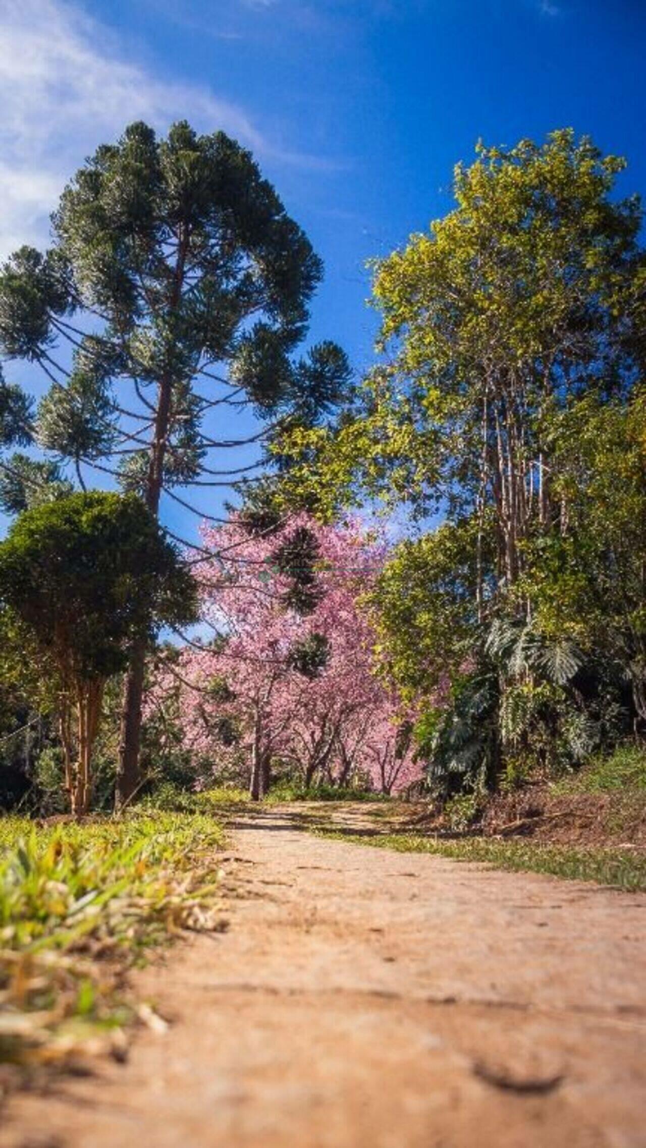 Terreno Albuquerque, Teresópolis - RJ