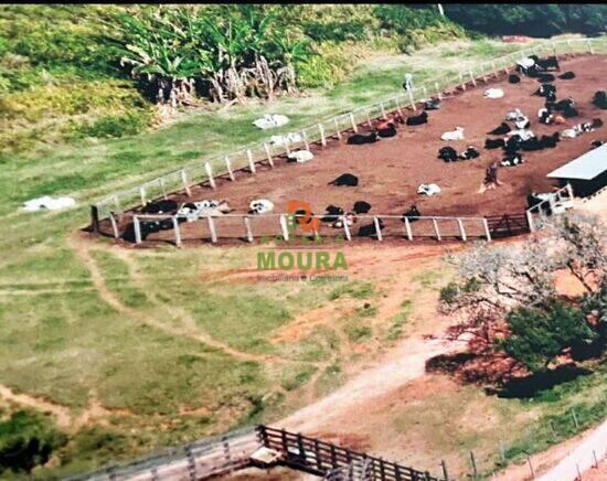 Fazenda Fazenda Velha, Divisa Nova - MG