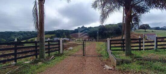 Miniatura - Chácara de 5 alqueires paulista na Guairaca - Zona Rural - Guarapuava - PR, à venda por R$ 3.800.000