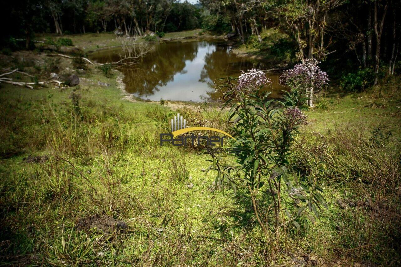 Chácara Zona Rural, Tijucas do Sul - PR