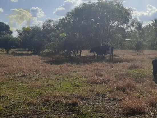 Ribeiro dos Santos - Olímpia - SP, Olímpia - SP