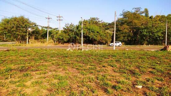 Jardim Residencial Bianchini - Rio Claro - SP, Rio Claro - SP