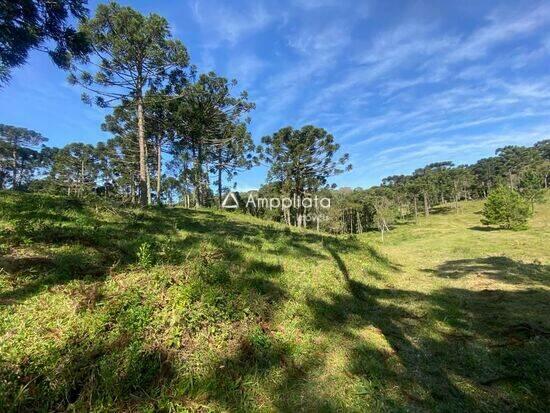 Chácara Mandassaia, Campina Grande do Sul - PR