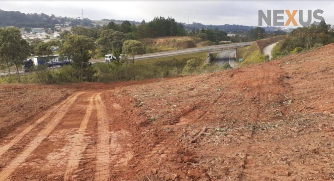 Área Itaqui, Campo Largo - PR