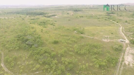 Fazenda Região Taiano, Alto Alegre - RR