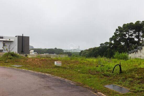 Jardim Padre José de Anchieta - Campo Largo - PR, Campo Largo - PR