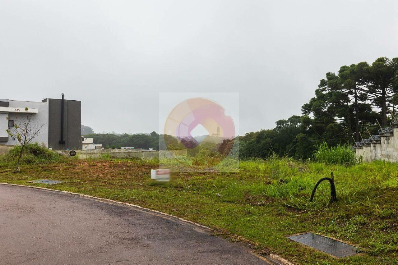 Terreno Jardim Padre José de Anchieta, Campo Largo - PR