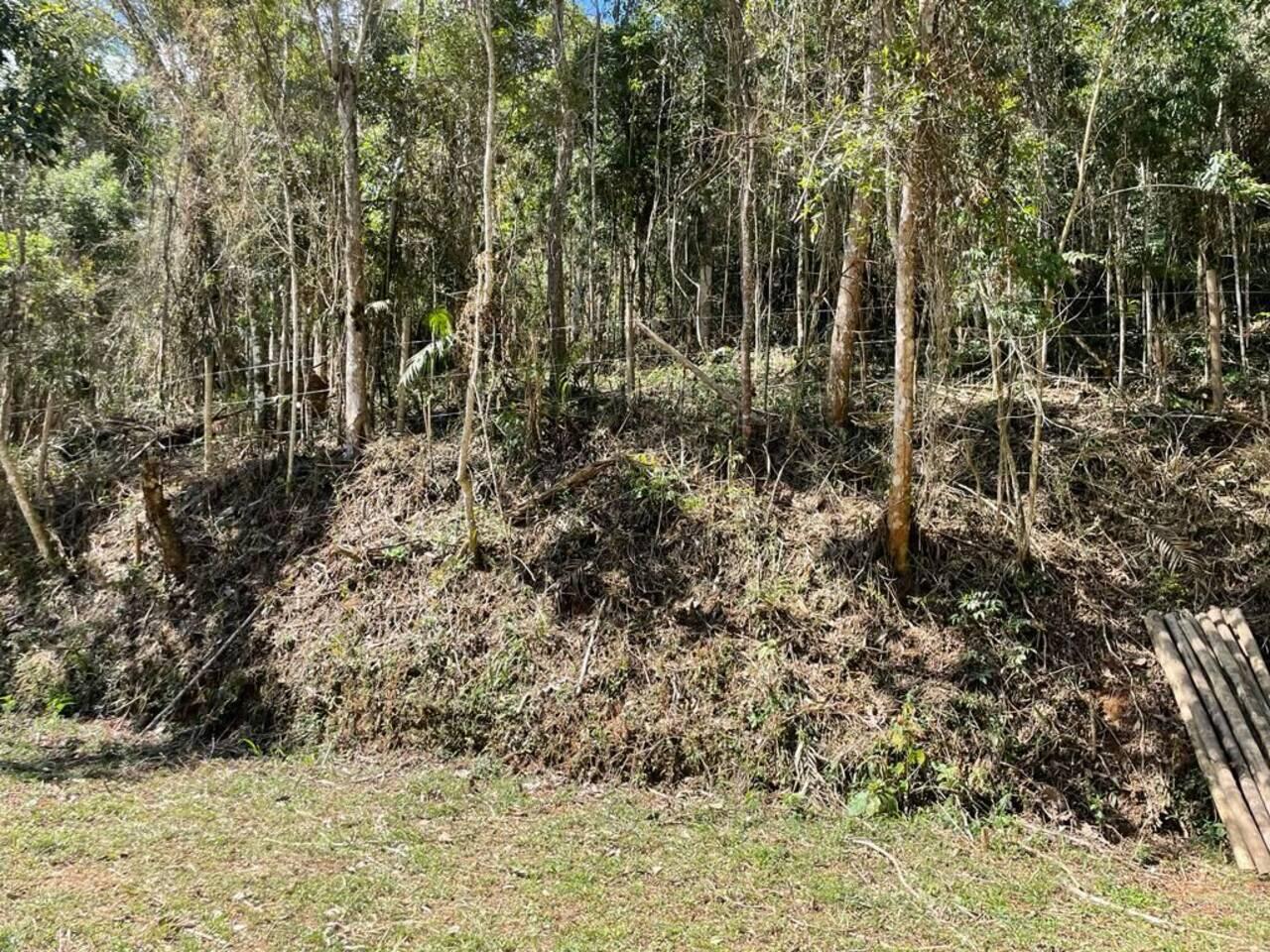 Terreno Brejal, Petrópolis - RJ