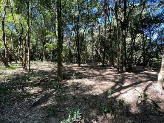 Chácaras Videiras de Itaici - Indaiatuba - SP, Indaiatuba - SP