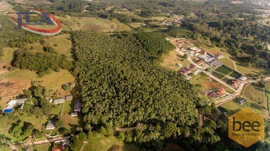 Boichininga - Almirante Tamandaré - PR, Almirante Tamandaré - PR