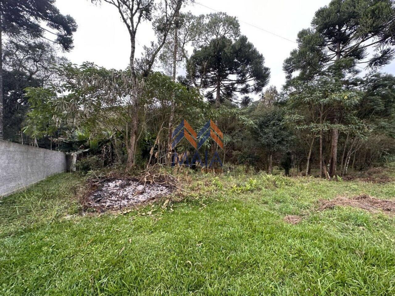 Terreno Miringuava, São José dos Pinhais - PR