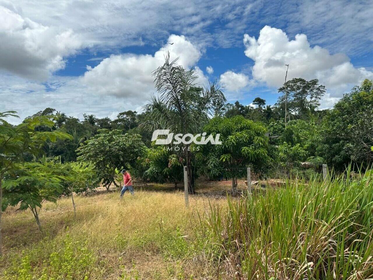 Fazenda Balsa, Porto Velho - RO