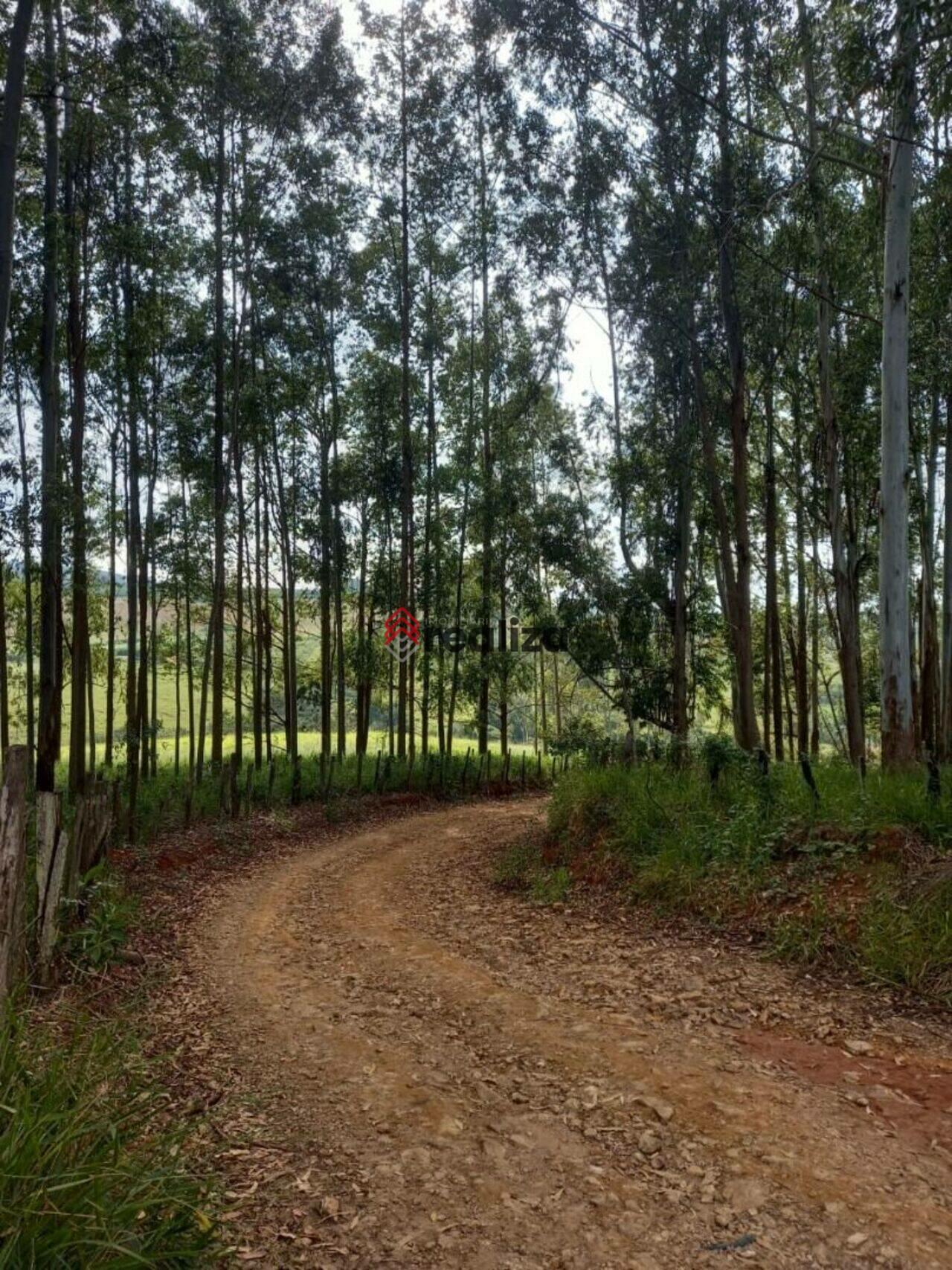 Sítio Zona Rural, Elói Mendes - MG