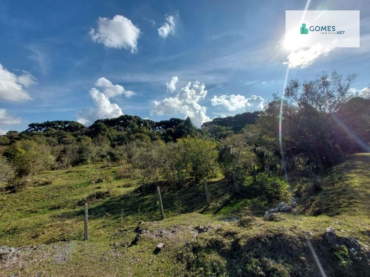 Chácara Zona Rural, Balsa Nova - PR