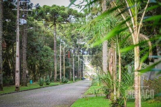 Jardim Primavera - Piraquara - PR, Piraquara - PR