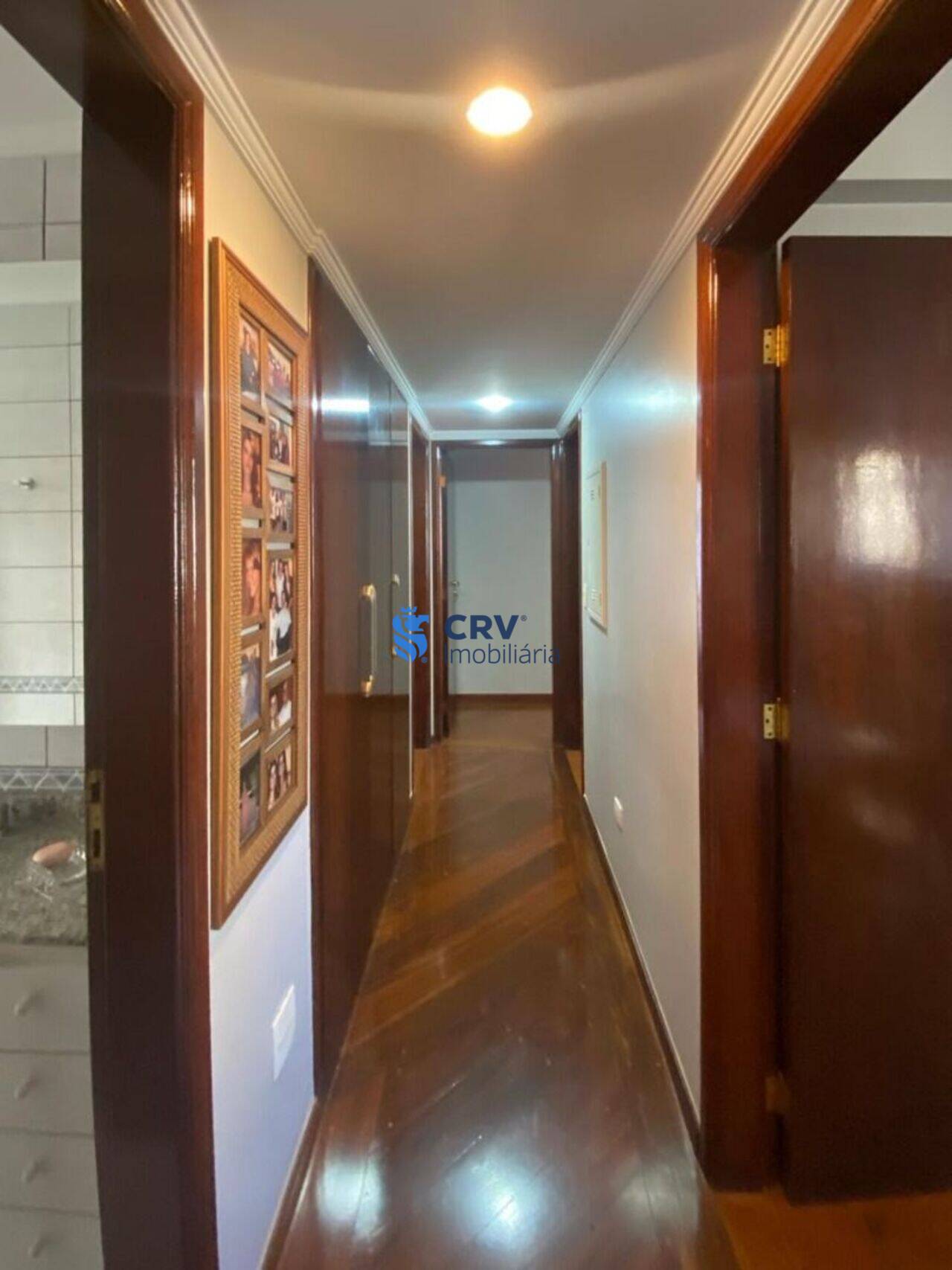 Apartamento Centro, Londrina - PR