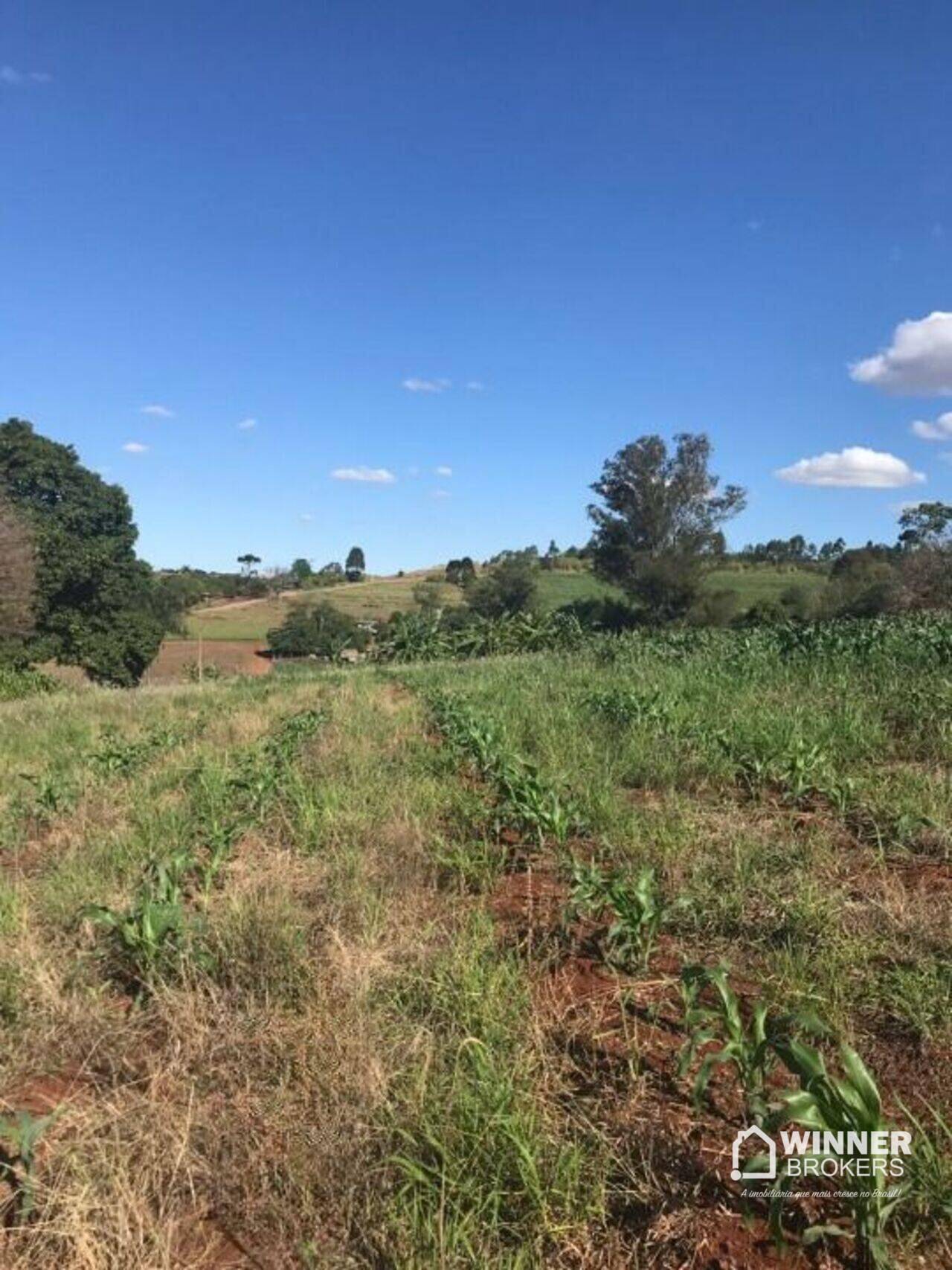 Sítio Bairro Rural, Jandaia do Sul - PR