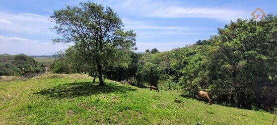 Tabatinga - Tijucas do Sul - PR, Tijucas do Sul - PR