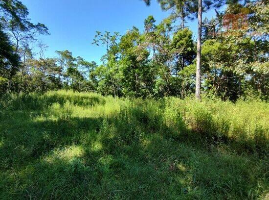 Estância Balneária Garça Vermelha - Peruíbe - SP, Peruíbe - SP