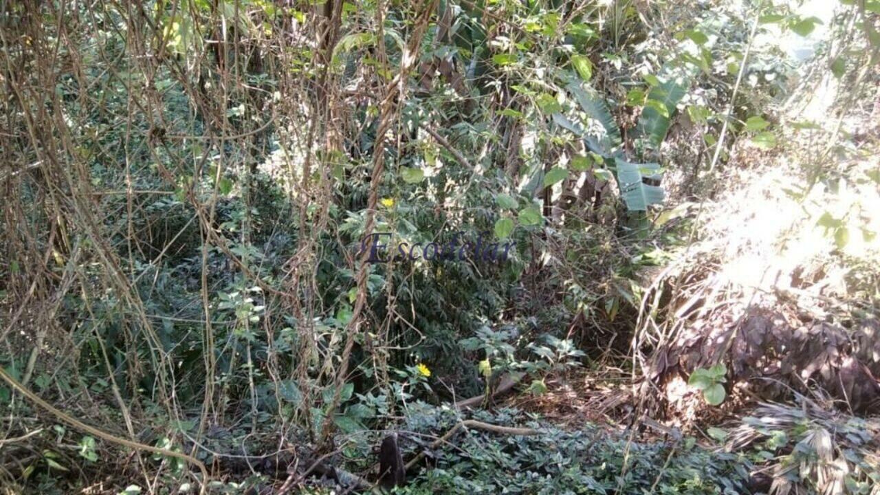 Terreno Serra da Cantareira, Mairiporã - SP