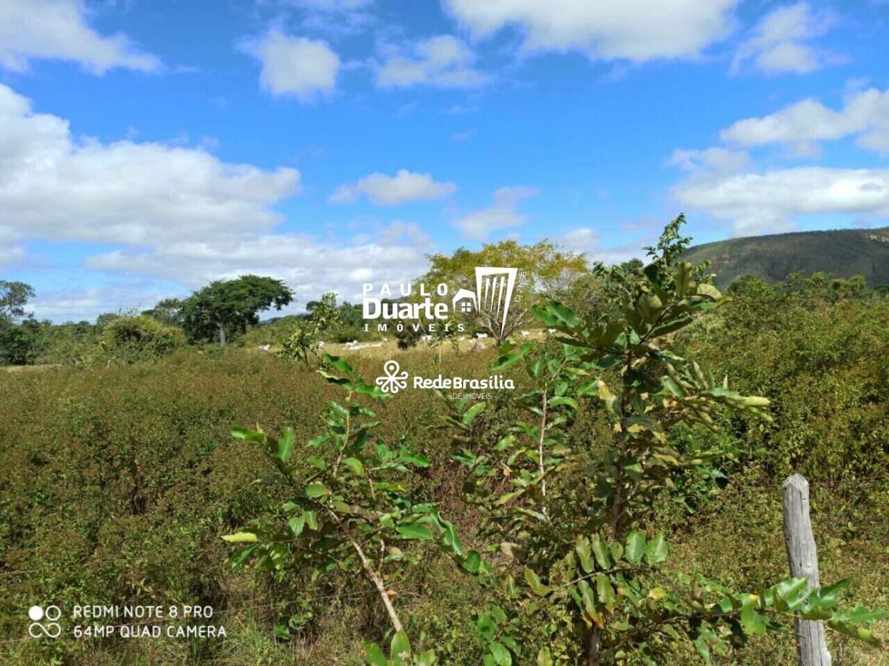 Fazenda Zona Rural, Buritis - MG