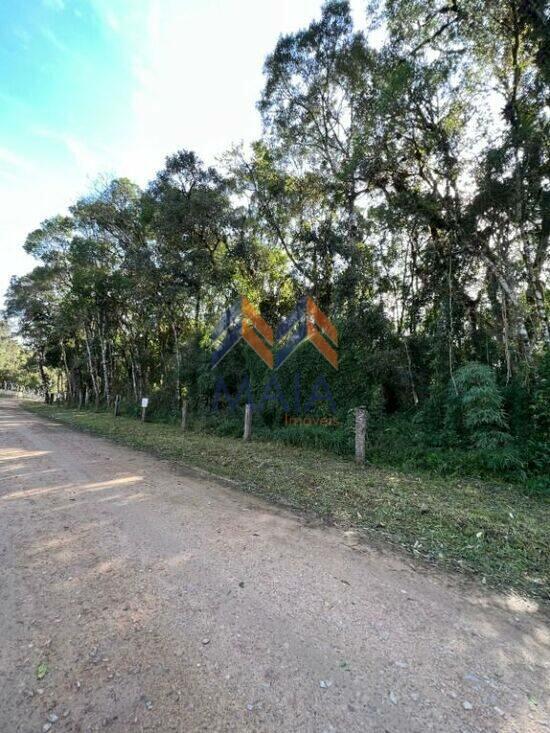 Area Rural - São José dos Pinhais - PR, São José dos Pinhais - PR