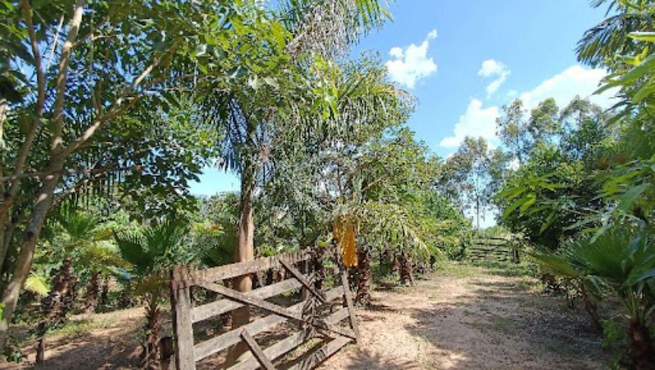 Sítio Zona Rural, Votuporanga - SP