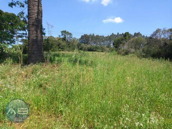 Área Reboucas, Campo Largo - PR