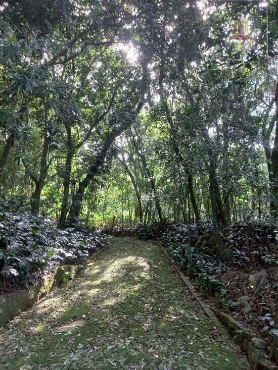 Ponta Grossa - Porto Alegre - RS, Porto Alegre - RS