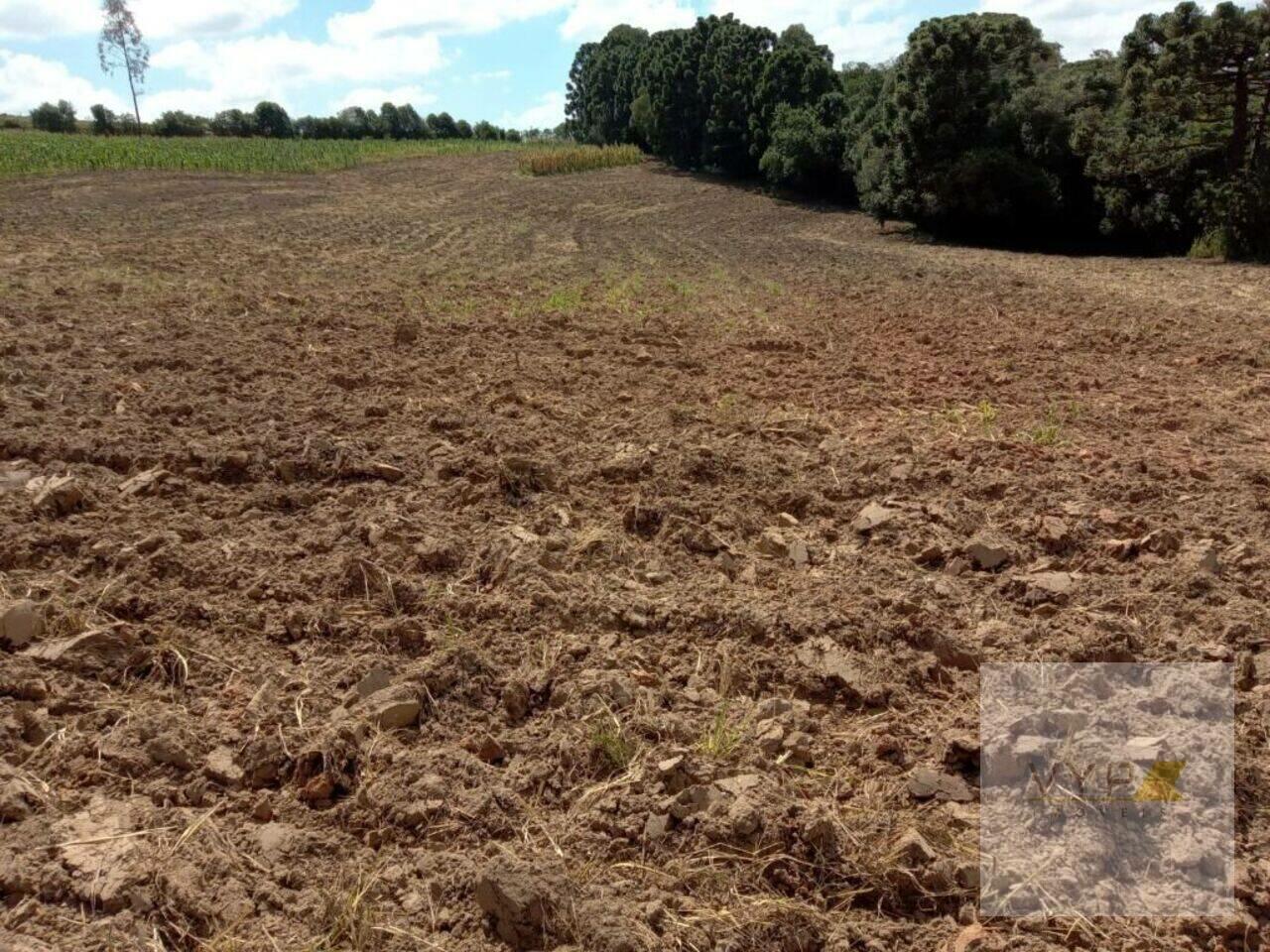 Chácara Água Amarela, Antônio Olinto - PR