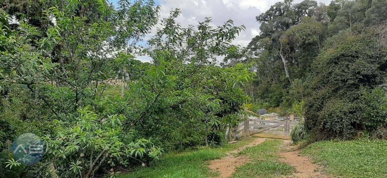 Chácara Zona Rural, Contenda - PR