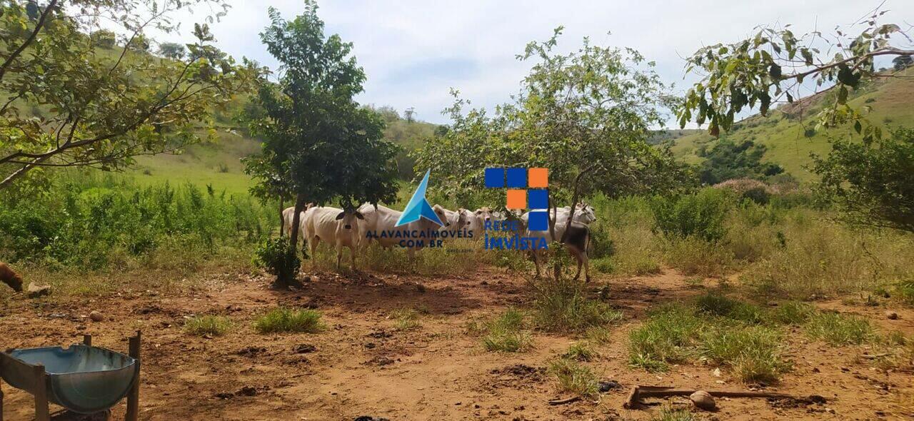 Fazenda Córrego Caramonhos, Governador Valadares - MG