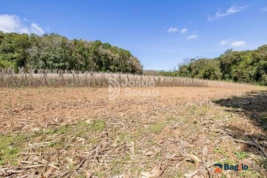 Compartilhamento de imagem - Chácara Ferraria - Campo Largo, à venda por R$ 990.000