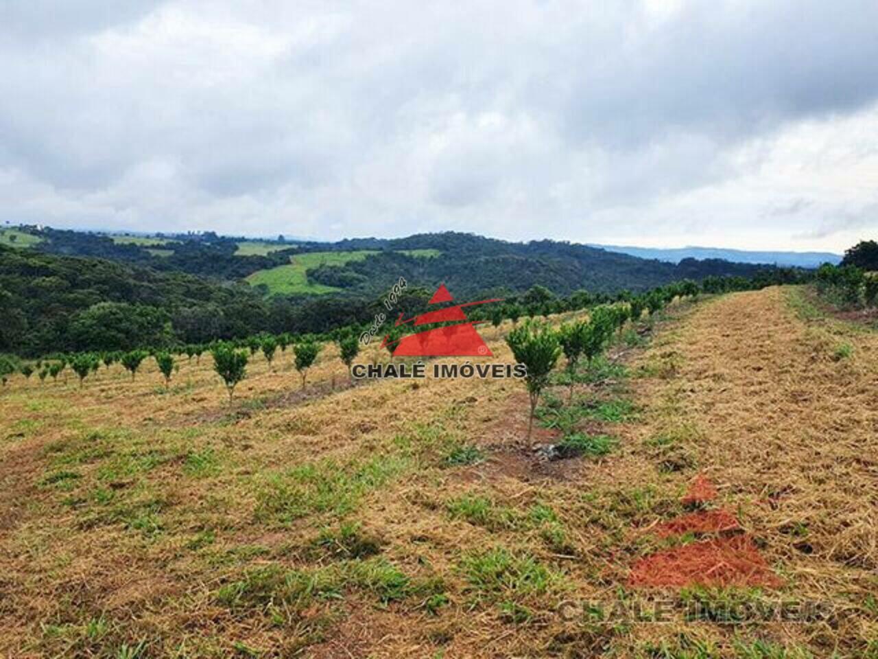 Fazenda Zona Rural, Pouso Alegre - MG