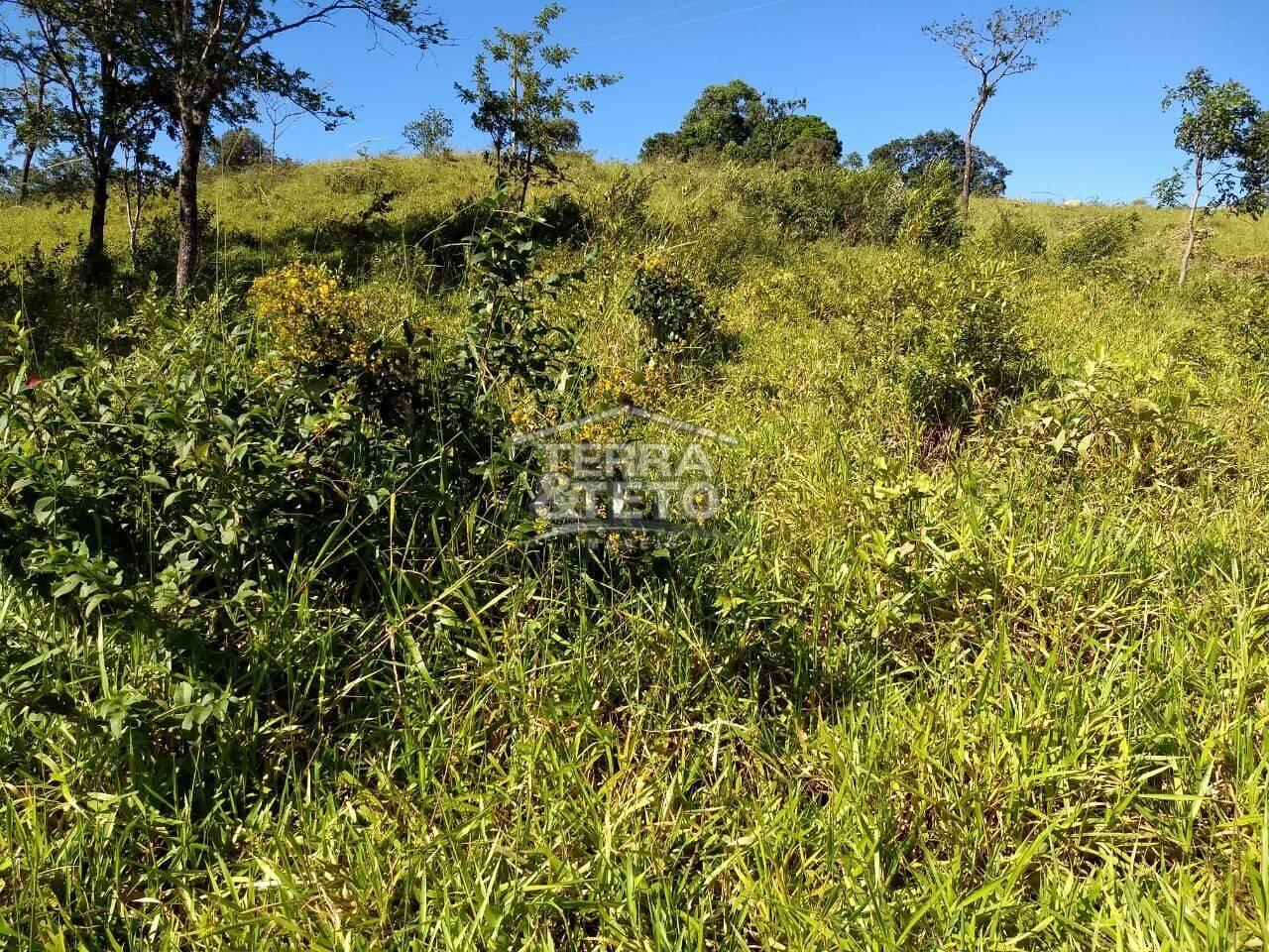 Fazenda Área Rural de Patos de Minas, Patos de Minas - MG