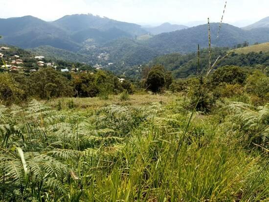 Pedro do Rio - Petrópolis - RJ, Petrópolis - RJ