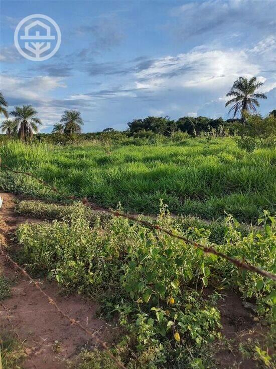 Zona Rural - Barretos - SP, Barretos - SP