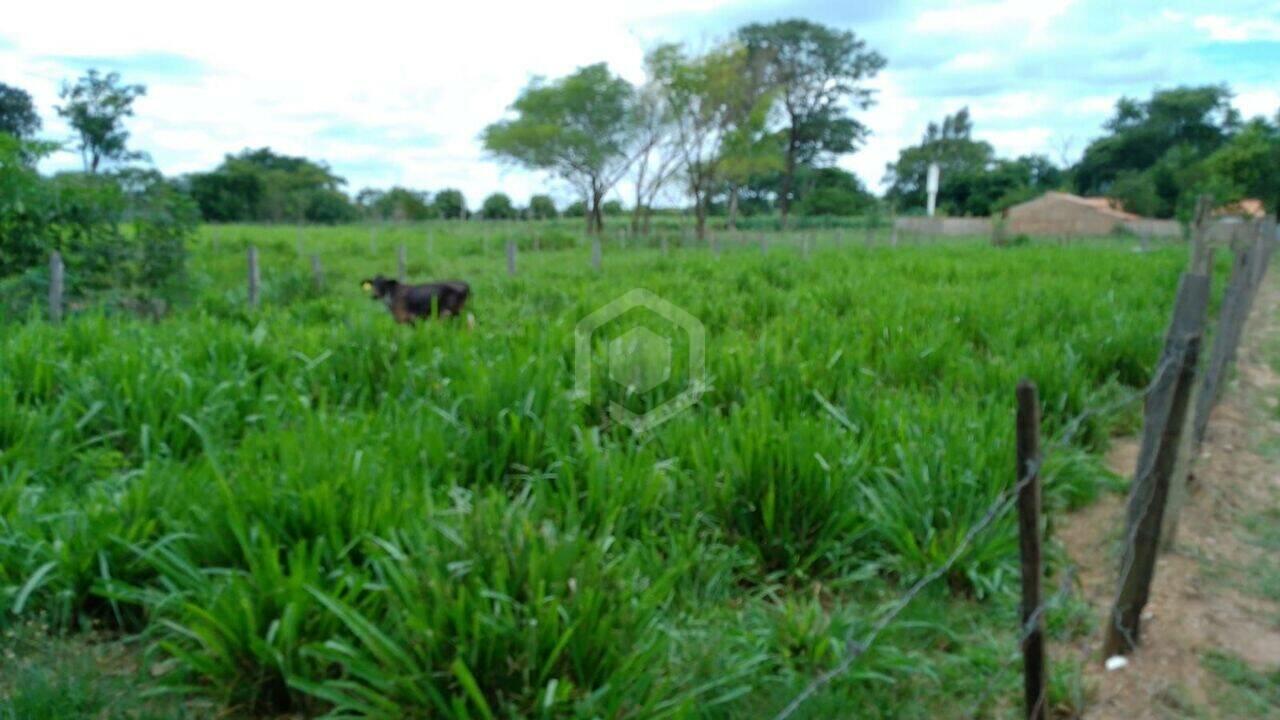 Chácara Zona Rural, Cardoso - SP