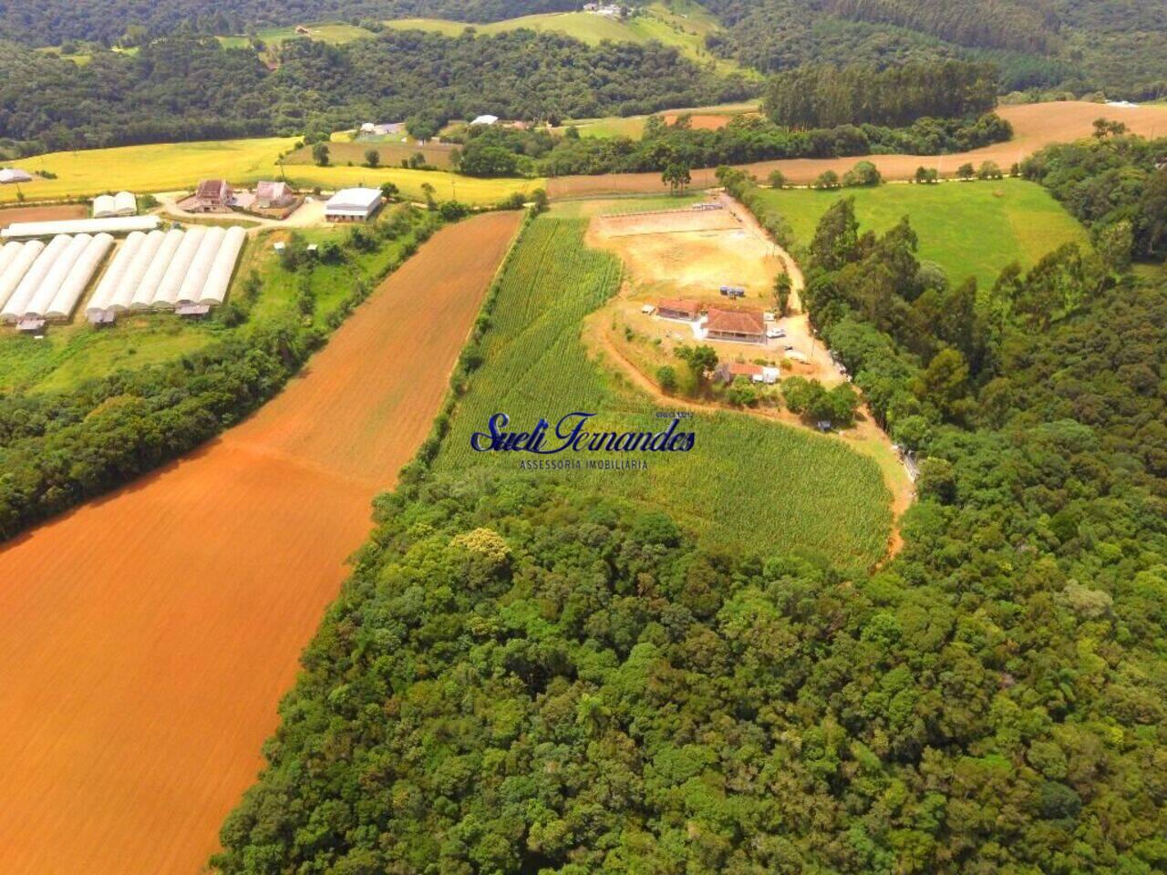 Chácara Area Rural, São José dos Pinhais - PR