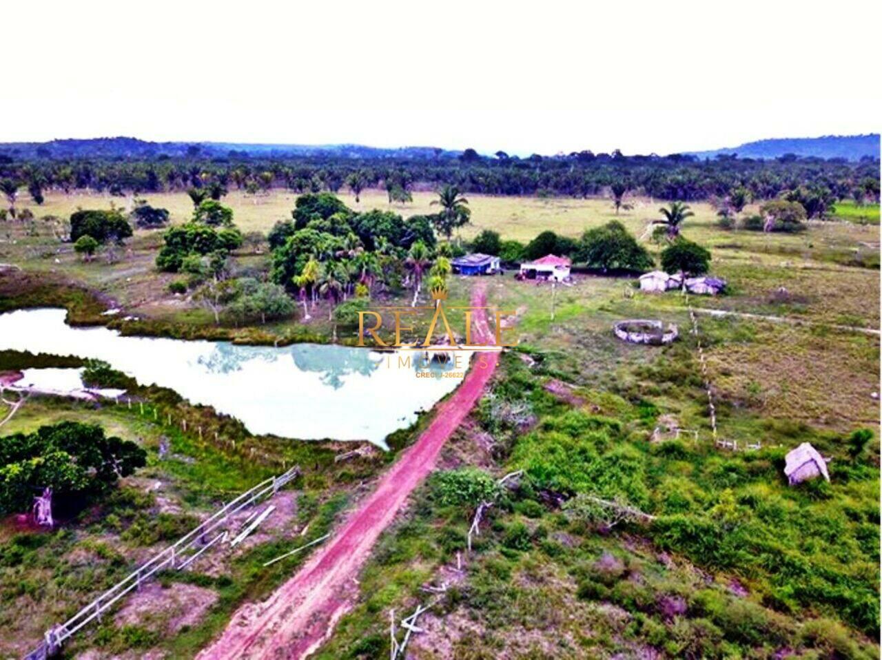 Fazenda Área rural de Guajará-Mirim, Guajará-Mirim - RO