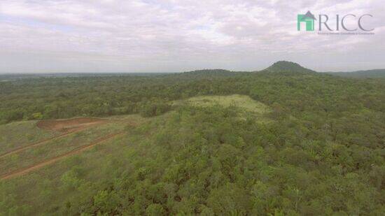 Fazenda Região Taiano, Alto Alegre - RR