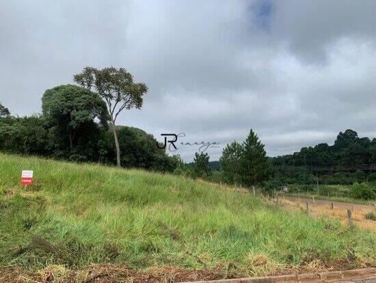 Estrela - Ponta Grossa - PR, Ponta Grossa - PR