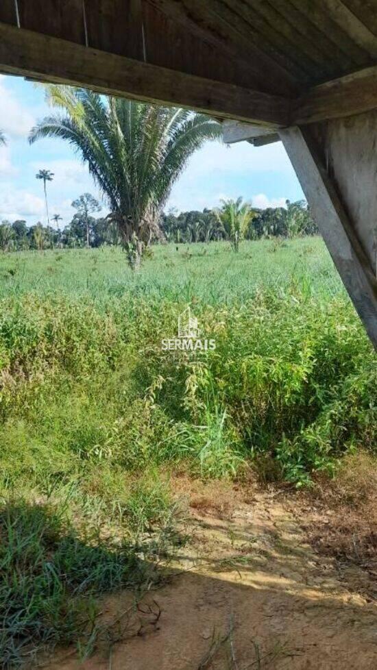 Sítio Zona Rural, Machadinho D'Oeste - RO