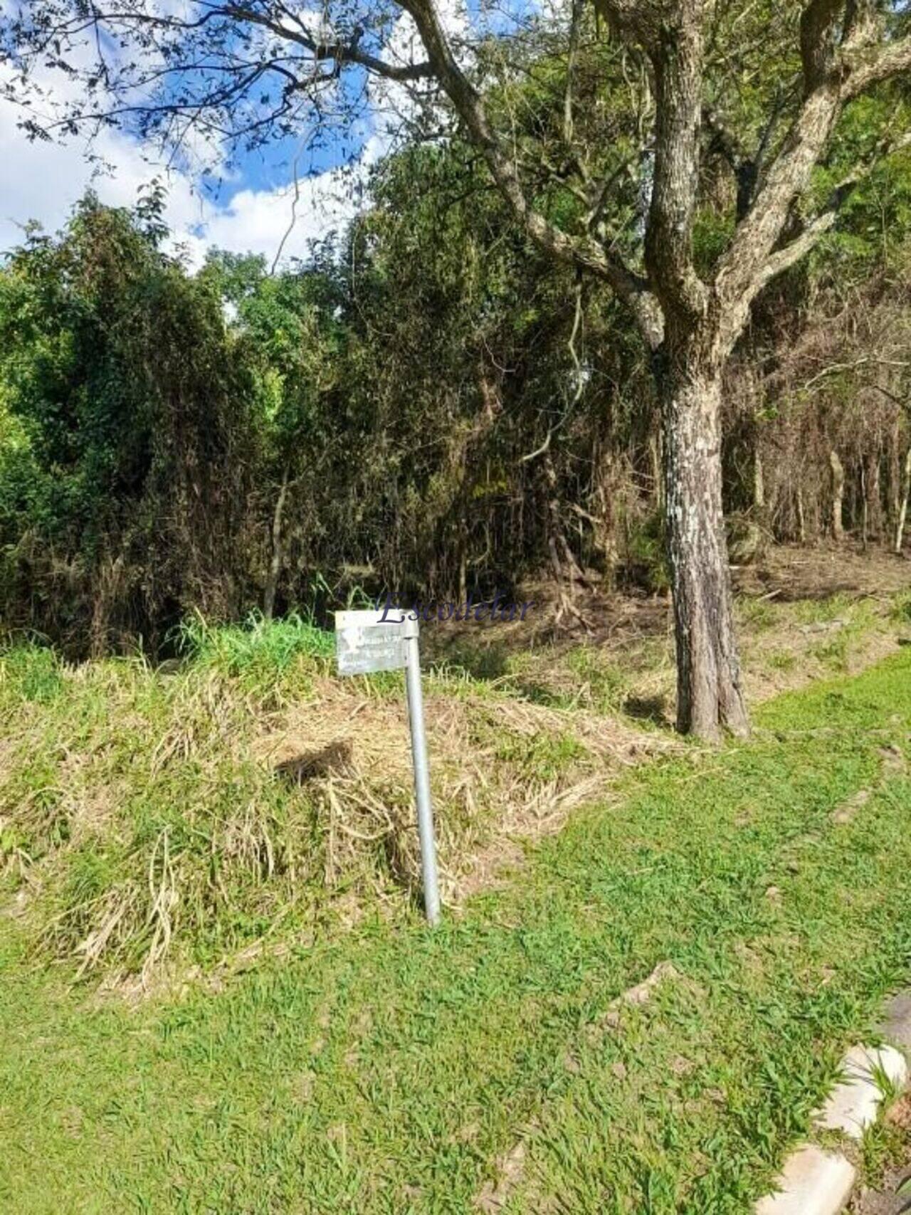 Terreno Jardim Peri, São Paulo - SP