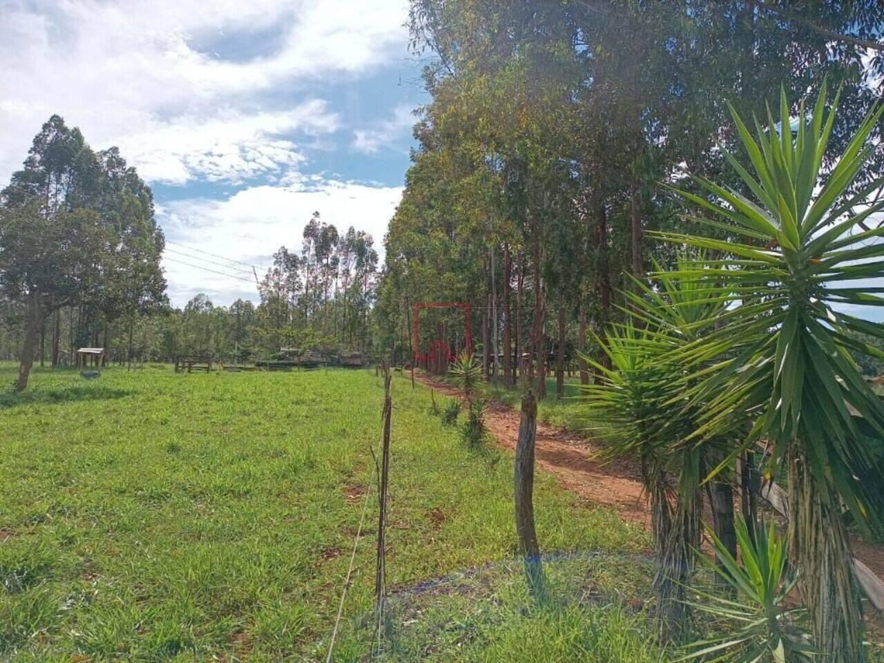 Fazenda Zona Rural, Brasília de Minas - MG