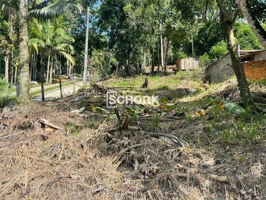 Terreno Passo Manso, Blumenau - SC