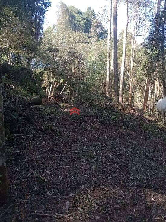 Terreno Bairro Do Carmo (Canguera), São Roque - SP