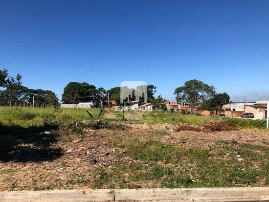 Terreno Jardim Botucatu (Rubião Júnior), Botucatu - SP